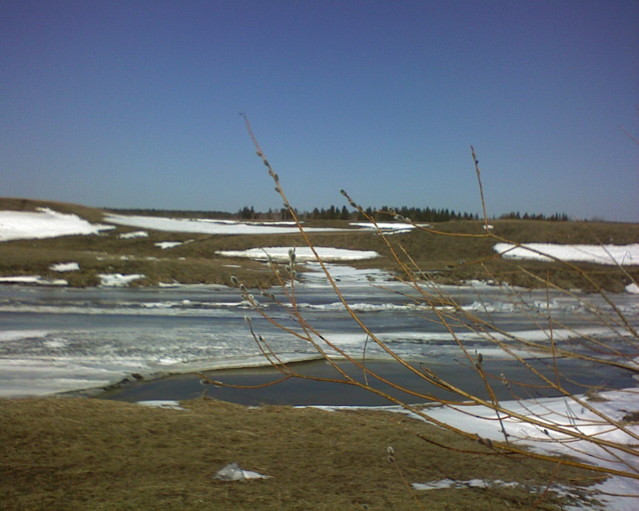 Весна 2009